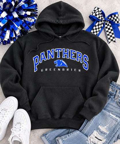 Panthers Greenbrier Black Youth Hoodie
