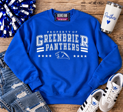 Panthers Property Royal Youth Crewneck Sweatshirt