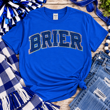 BRIER Spangle Softstyle Long SleeveTee