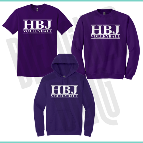 HollenBall Volleyball Simple Purple D5W