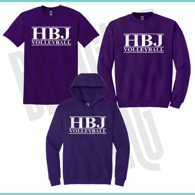 HollenBall Volleyball Simple Purple D5W