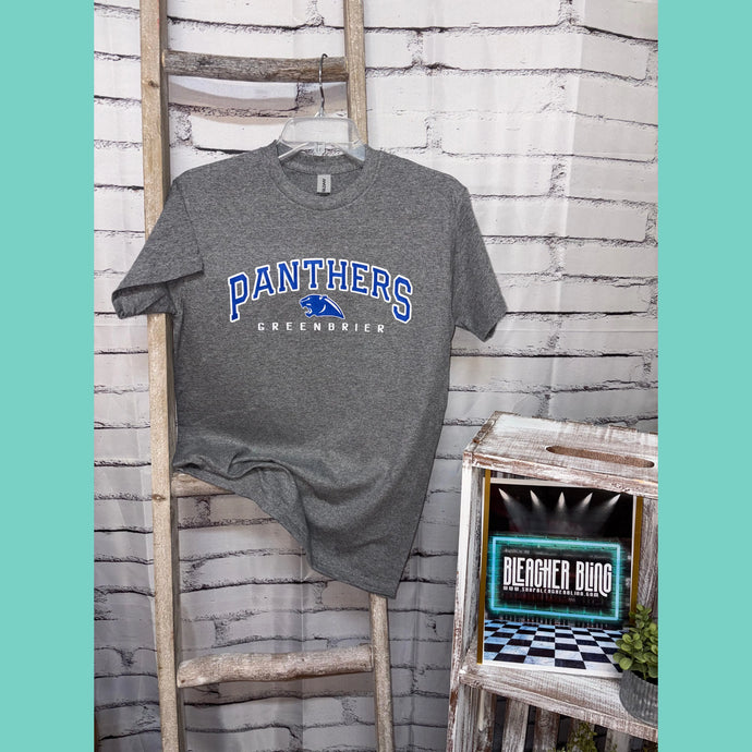 Graphite Greenbrier Panthers Fan 25