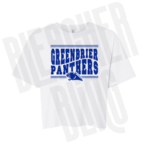 *PRE-ORDER* Panthers Heritage Tee