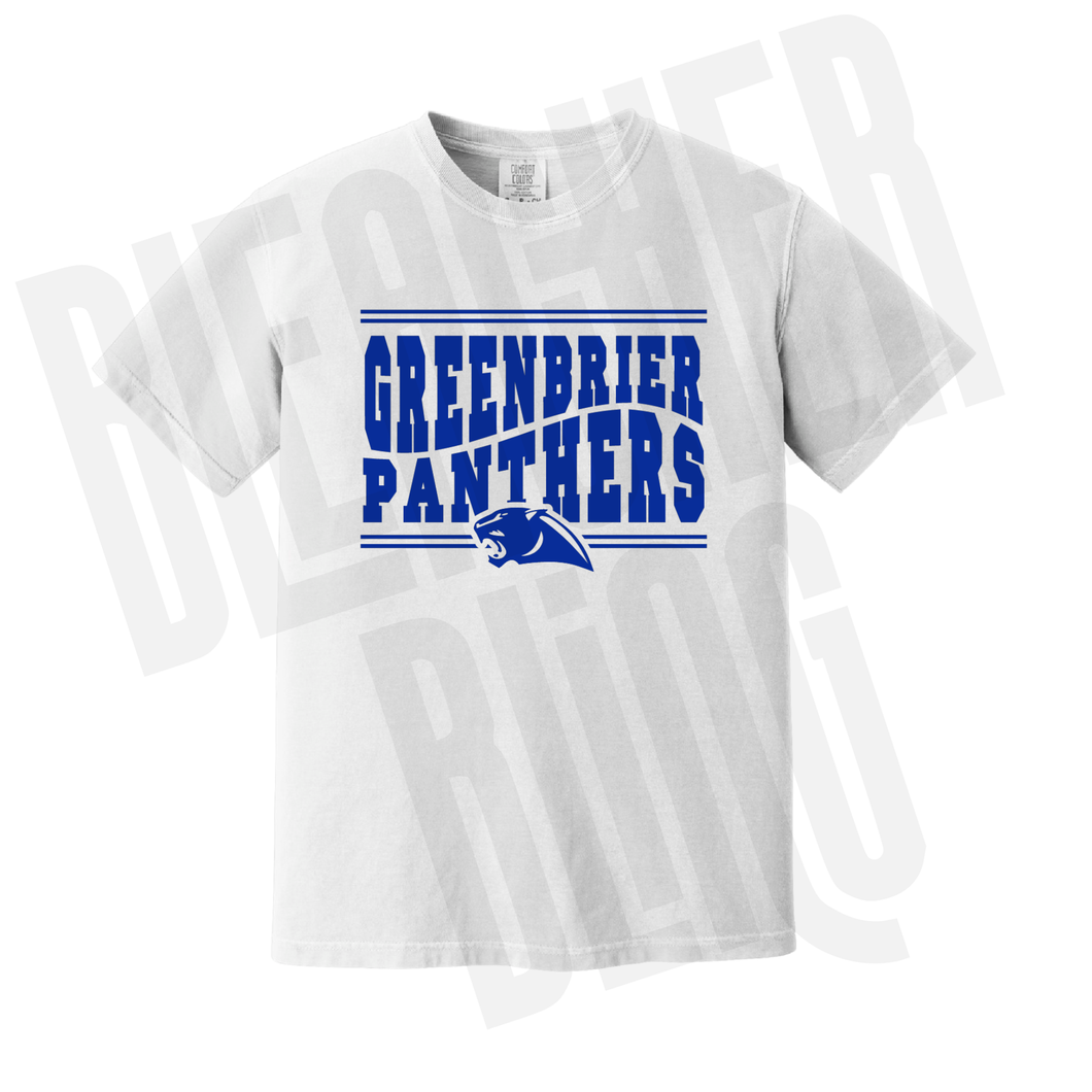 *PRE-ORDER* Panthers Heritage Tee
