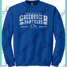 *PRE-ORDER* Panthers Property 25
