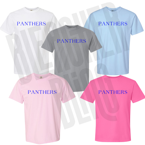 *Pre-Order* The PANTHERS Style Tee