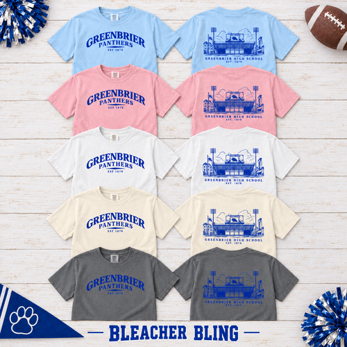 *Pre-Order* Panther Stadium Tradition Tee