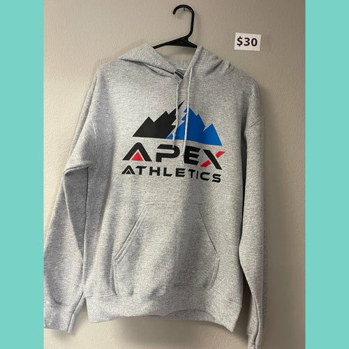 Grey Hooded Sweatshirt with Multi Color Apex Logo