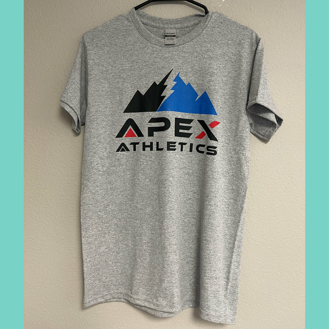 Grey Short Sleeve T-shirt with Multi Color Apex Logo